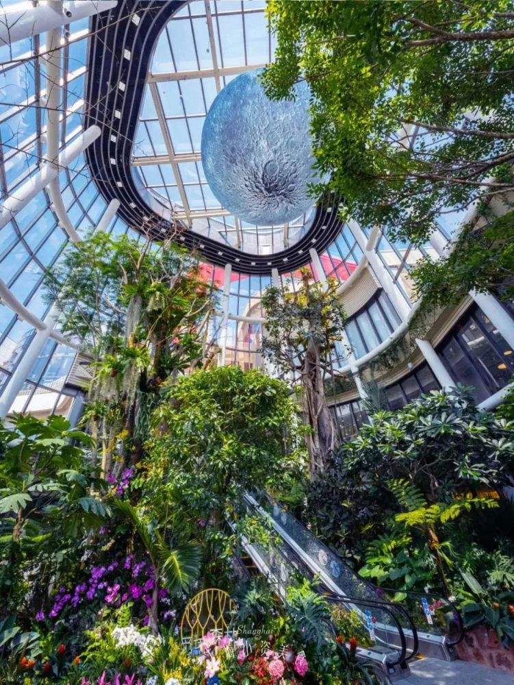 南翔mega印象城2020年底开业便引发全城轰动的上海单体面积最大商场