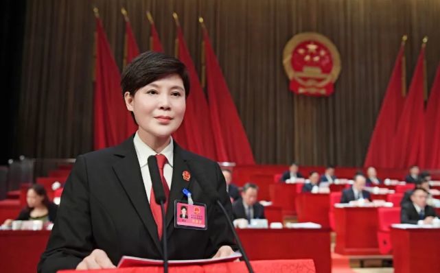 雁塔区第十七届人民代表大会第六次会议上,雁塔法院党组书记,院长蔡青