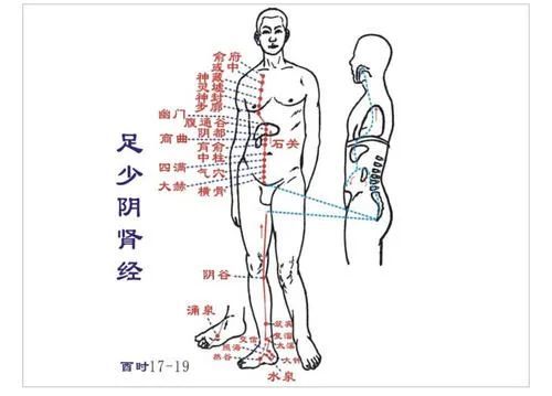 奇難雜症調三焦,結節腫瘤通膽經,體弱多汗灸任脈……_騰訊新聞