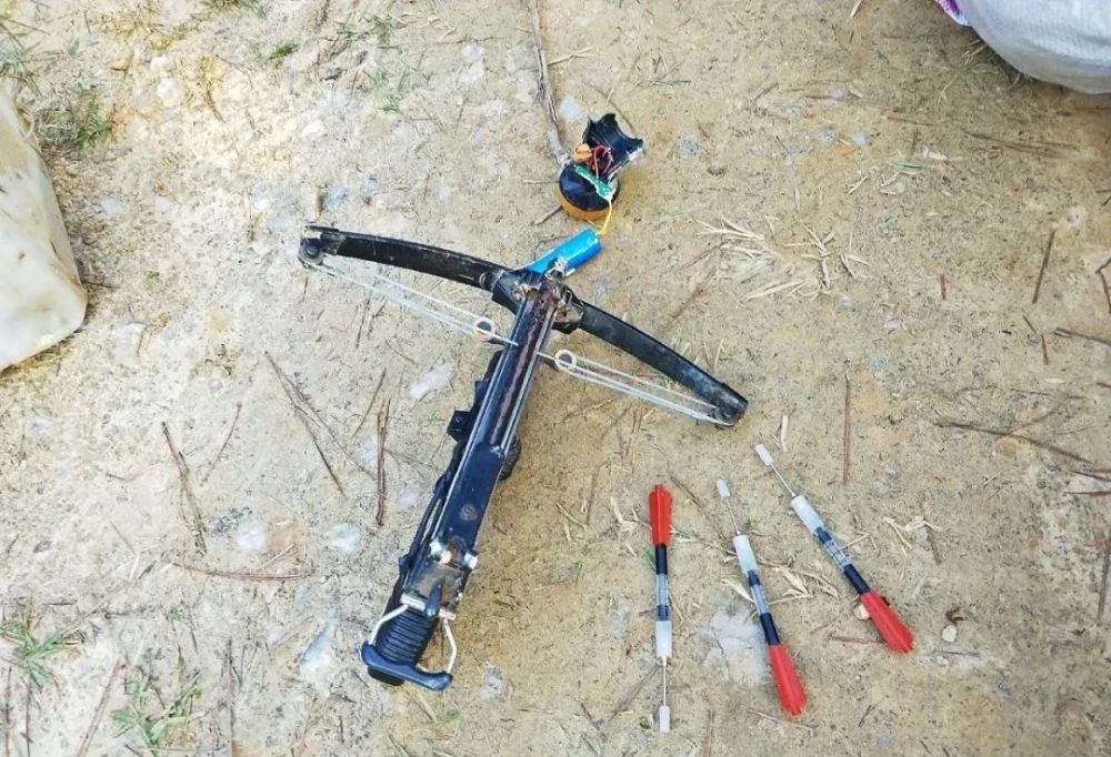 新洲男子流窜麻城3个乡镇疯狂作案,专门毒,杀各种动物