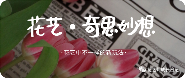 花艺奇思妙想vol 40 葡萄花束 葡 天同庆 萄 你欢心 腾讯新闻