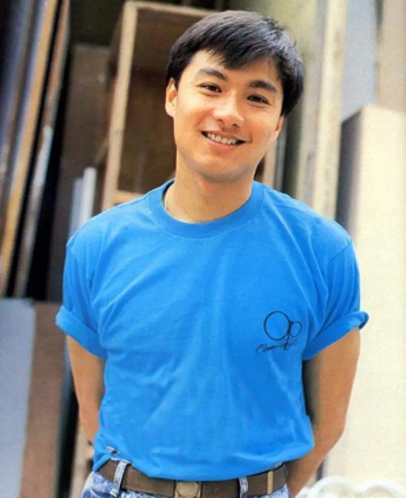 曾是一线说出我做gay也不要刘嘉玲的林俊贤现在如何