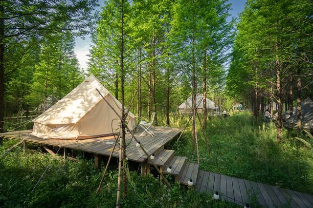 五一放假通知出炉快去这些私藏露营地睁眼就有漫天星空唯美日出