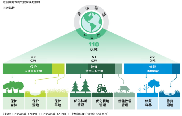 森林碳汇项目开发流程及前景展望|ppt|森林经营|林业碳汇|碳汇