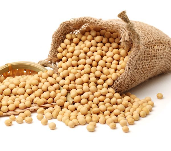 大豆价格又创新高:卖早的农户"捶胸顿足"晚卖的大赚,下游豆企太难了!