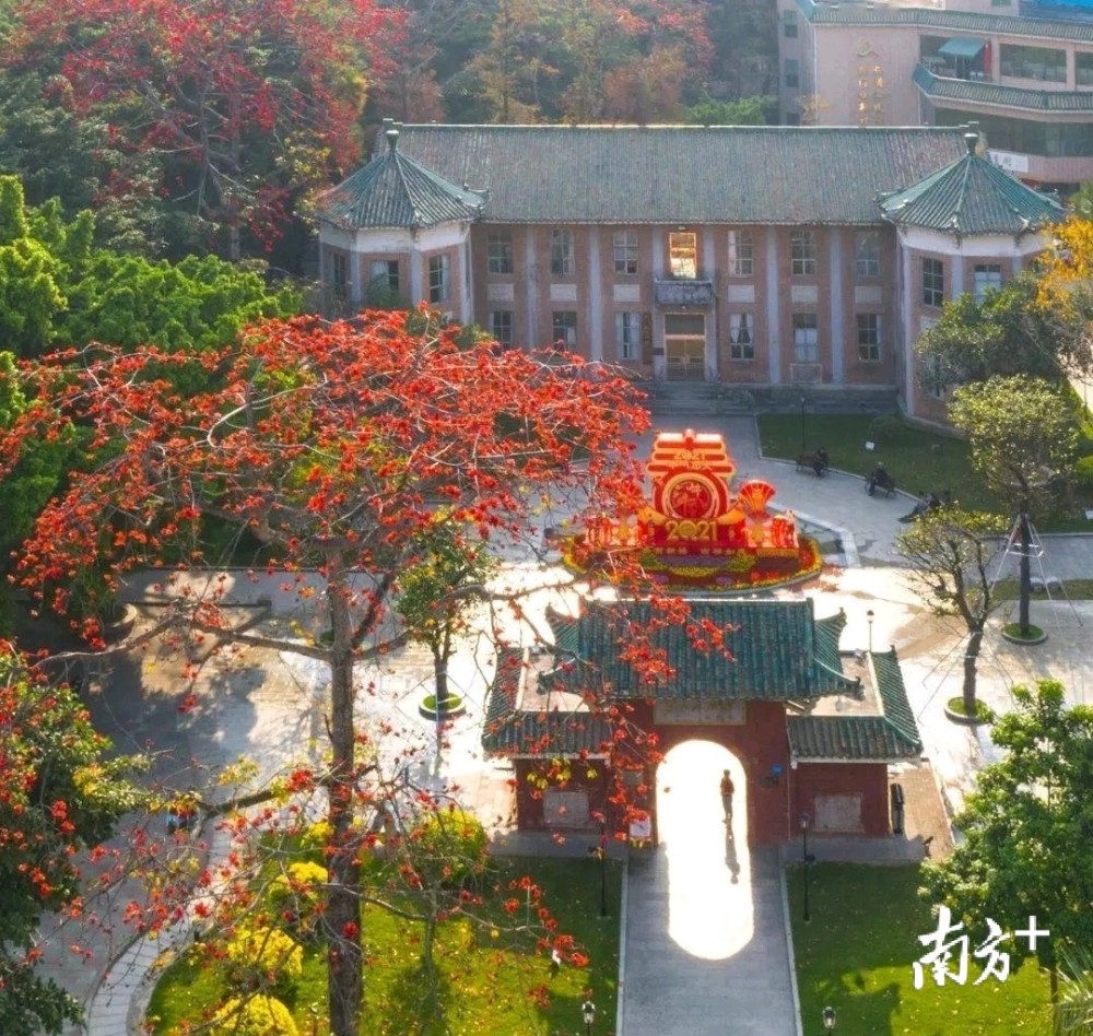 木棉花开时,来虎门执信历史文化街区领略诗意画卷_腾讯新闻