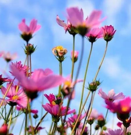 3月10日开始 4属相贵人相助 八方来财 日子越来越好 腾讯网