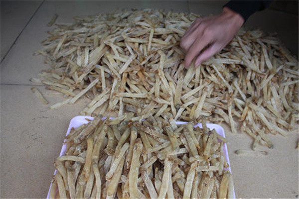 人称海蚯蚓野生不断减少鲜品一斤60元难买到真香