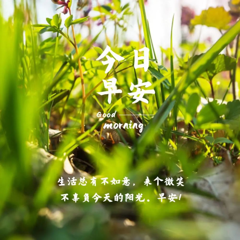 特别漂亮清晨早安问候语,暖心的早上好问候祝福语图片_腾讯新闻