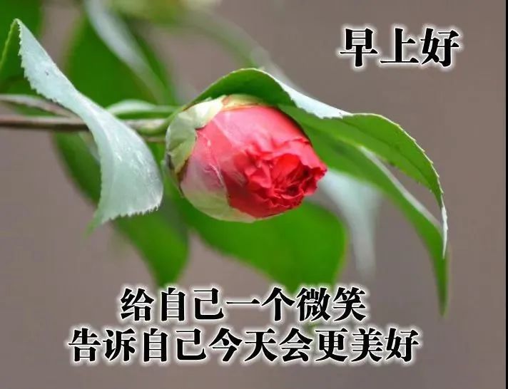 春天温馨唯美的早上好问候祝福图片精选_腾讯新闻