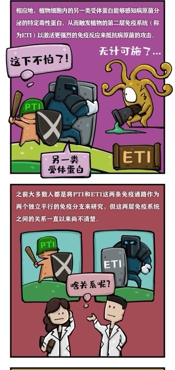 免疫系统|《自然》刊登上海团队成果：发现植物两大免疫系统协同抗敌