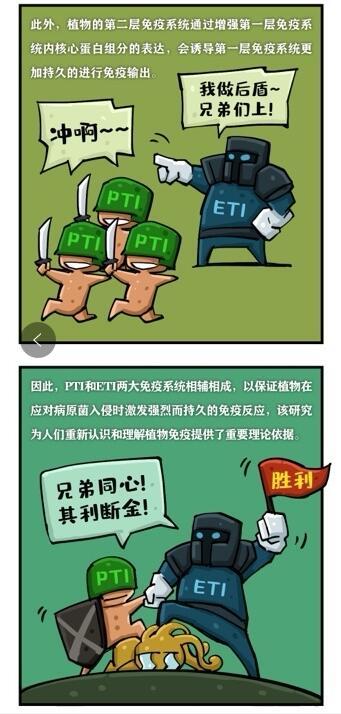 免疫系统|《自然》刊登上海团队成果：发现植物两大免疫系统协同抗敌