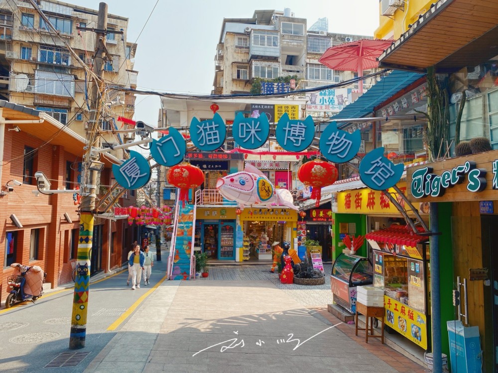 厦门有一条名不副实的网红街名字叫猫街但整条街都见不到真猫