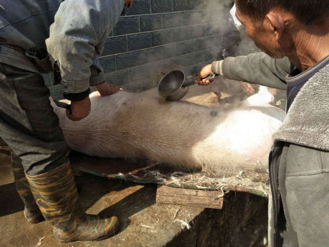 (说一句很不恰当的话,这样的情景,有点类似于民间匠人杀猪后给猪去毛