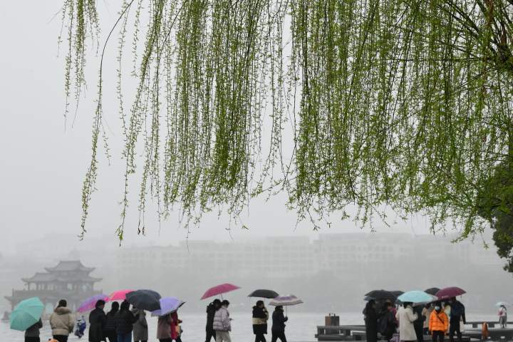 雨水|天气｜太阳昙花一现后，雨水又来了！周末天气很不错，适宜赏花踏青