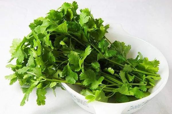 香菜|香菜的功效与作用，香菜的正确吃法