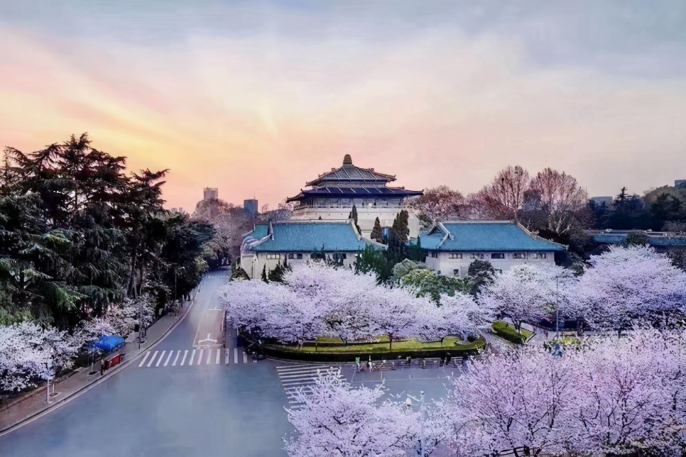 武汉大学美女学生凭借3张图片走红网络多重身份被扒出