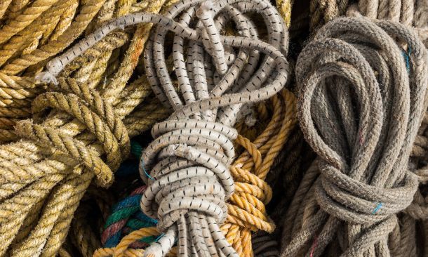 果树|如何矮化果树，这2种简单的方法，就可以做到