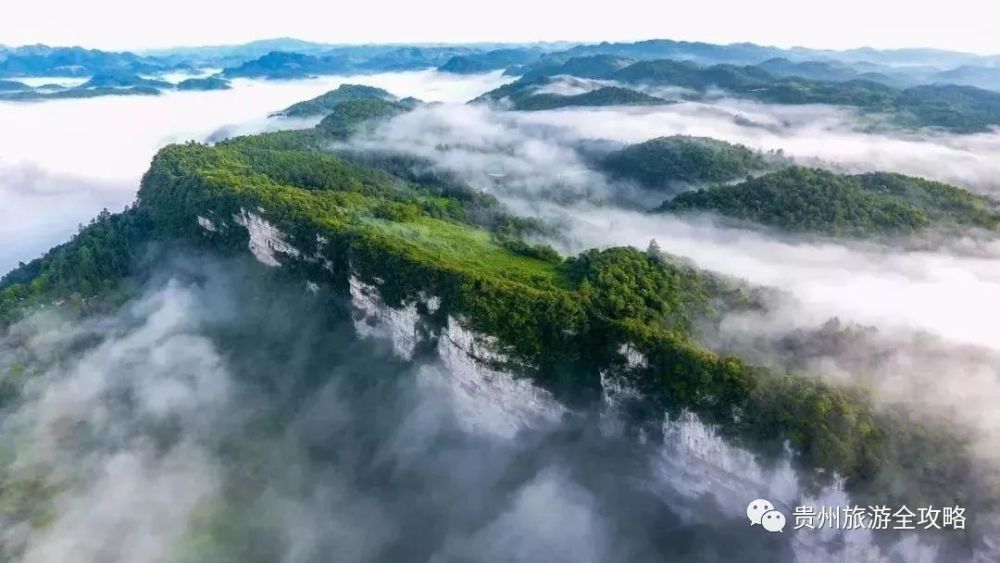 地處螺螄殼山麓的高寨水庫茶場是