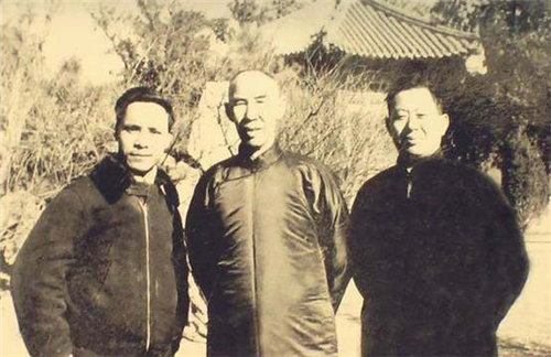 他被称为日本最强武术家,走红后却说:我的中国师傅,比我更厉害|泽井健