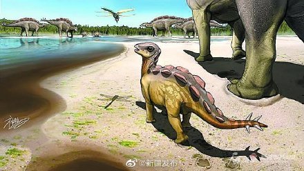 剑龙类|这种恐龙你没见过！新疆发现迄今最小剑龙类恐龙足迹化石