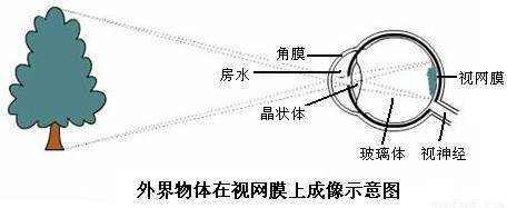 光年|站在距地球2242光年的星球上，能否看到秦始皇登基时的盛况？