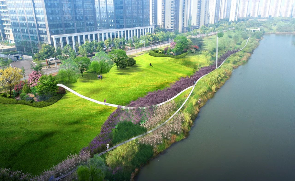 长沙洋湖片区即将迎来提质升级,以后请叫我国际洋_腾讯新闻