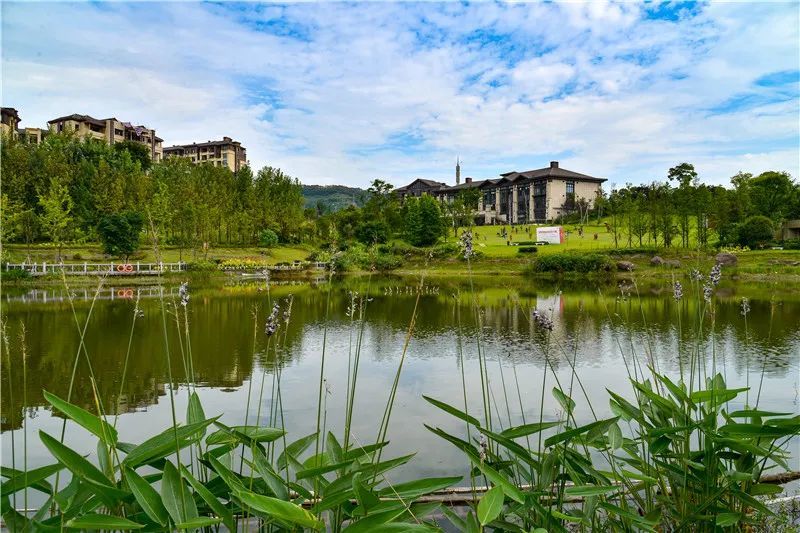 52这里是秀丽的江津