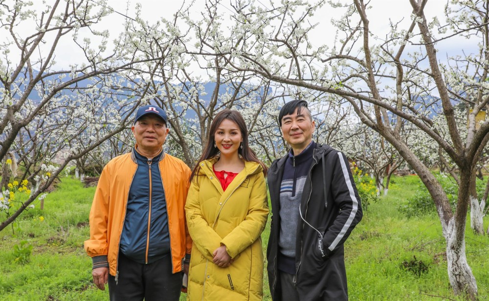 张可儿献唱李子花开助力乡村振兴
