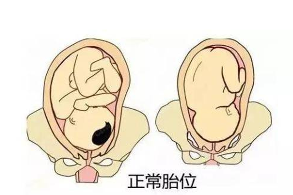 怀孕后多久胎位就要固定了这个孕周前孕妈还能调乾坤