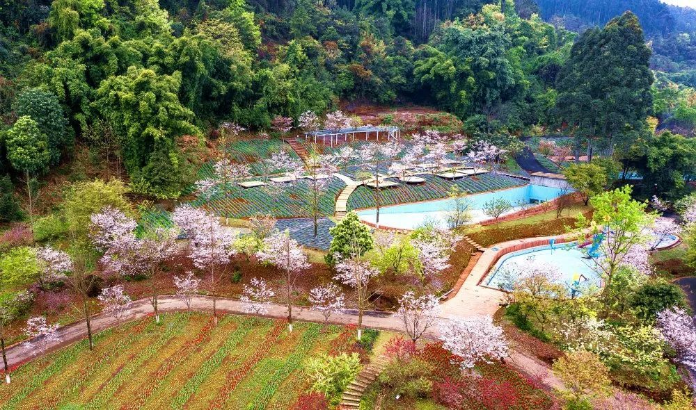 新津又添旅游新场景,心道天堂正式对外开放!(内含福利)_腾讯新闻