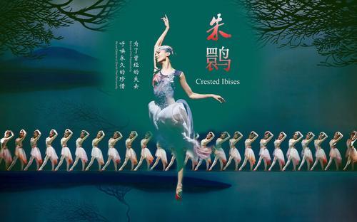 人间绝美登上春晚的舞剧朱鹮令人心醉