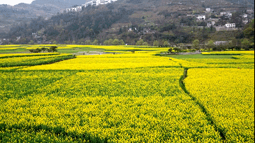 王崗村|青龍河|萬壽橋|古鎮|青巖古鎮|貴陽