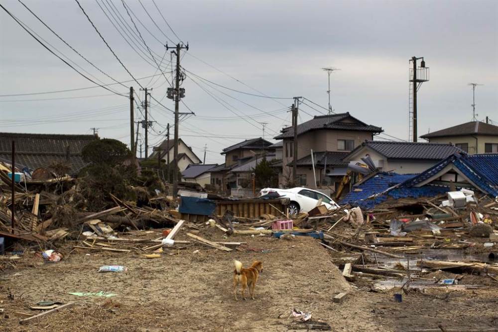 311东日本大地震 10周年逾4万人仍回不了家 腾讯新闻