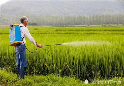 蔬菜|蔬菜农残检测仪主要检测哪些项目？多少钱？