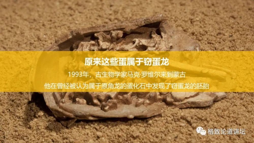 "偷恐龙蛋"的窃蛋龙,其实被我们误会了_腾讯新闻