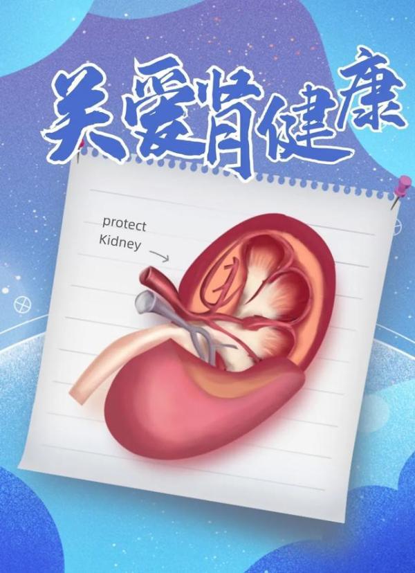 世界肾脏日:保护肾脏从身边小事做起