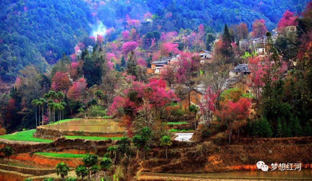 打卡红河县最美乡村大羊街