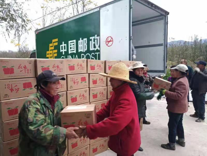 专家农村电商有解构和建构双重作用