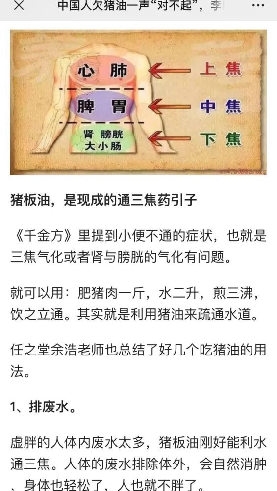 猪油|中国人欠猪油一声“对不起”？只是炒菜香而已，没那么多神奇功效