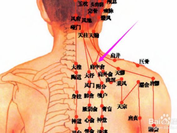 5,中渚穴位置:在手背部,当第4掌指关节的后方,第4,5掌骨间凹陷处.