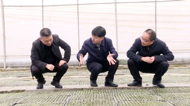 副县长付长江,县烟草专卖局(分公司)相关负责人及