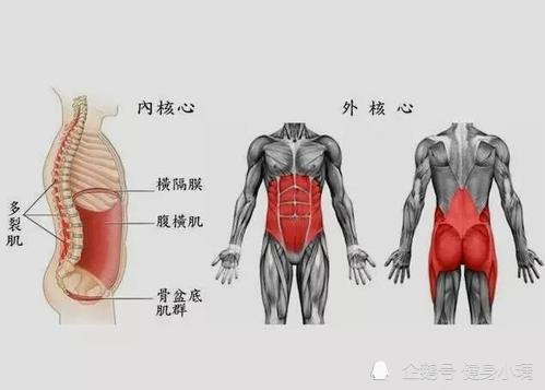 如何拥有稳固强大的核心肌群?这6个动作分享给你