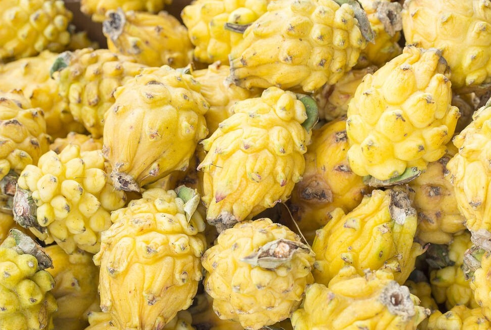 二月二龙抬头无论穷富5样龙果记得摆上桌寓意鸿运当头