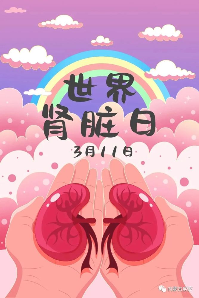 肾脏|世界肾脏日｜十个方法，呵护你的肾