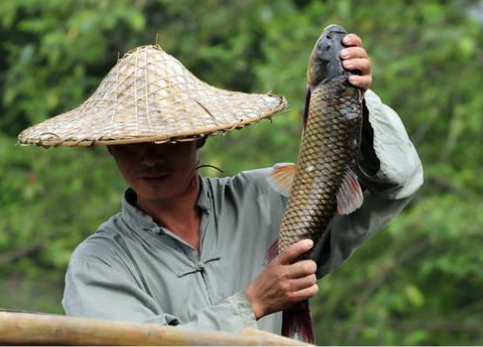 其实早在上古时期,中国人就已经发现渔猎不足以满足人口需求,于是经过