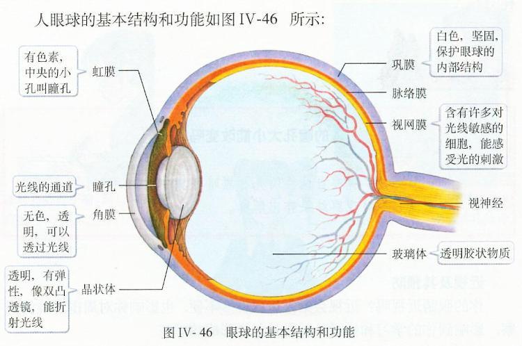 住鲁人大代表称国产人工角膜或今年用于临床对患者来说意味着什么 腾讯新闻