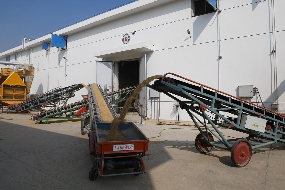 武汉将统筹推进粮食仓储基础设施建设力争全市粮库扩容10亿斤