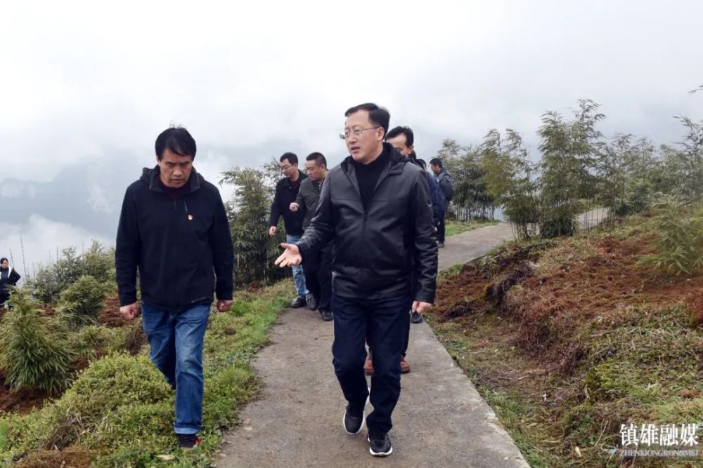 翟玉龙调研城镇建设和产业发展