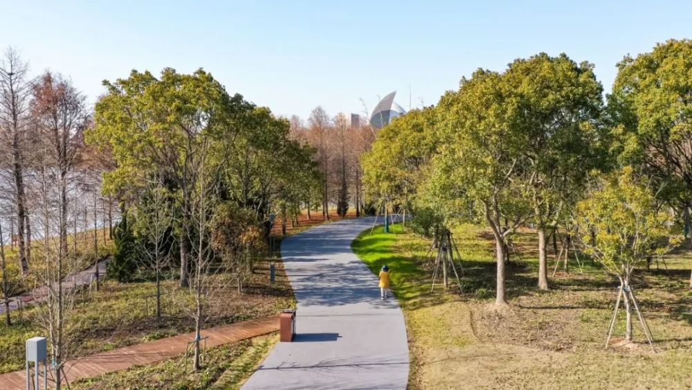 临港新片区生态新城系列之二探索西二环带城市公园